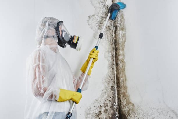 Best Crawl Space Mold Removal  in Florham Park, NJ