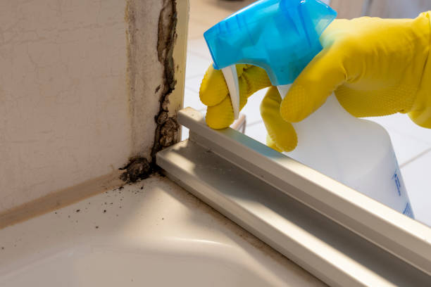 Best Mold Testing  in Florham Park, NJ