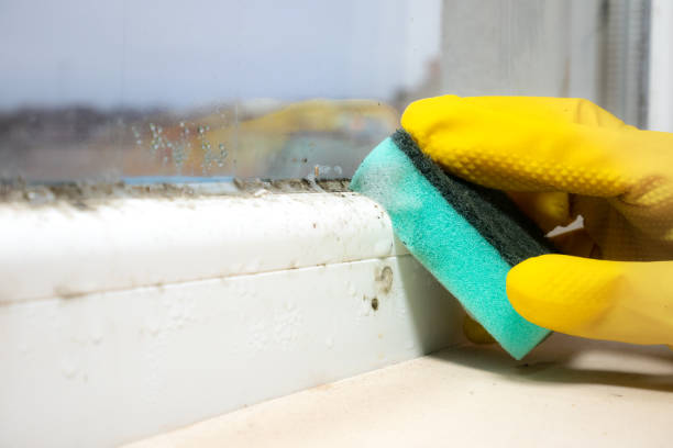 Trusted Florham Park, NJ Mold Removal Experts