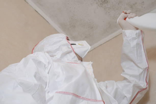 Best Local Mold Removal Service  in Florham Park, NJ