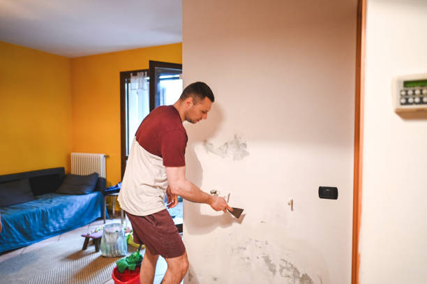 Best Commercial Mold Removal  in Florham Park, NJ