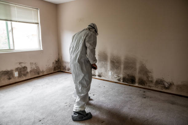 Certified Mold Removal in Florham Park, NJ