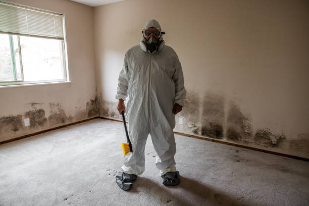 Mold Removal and Inspection in Florham Park, NJ